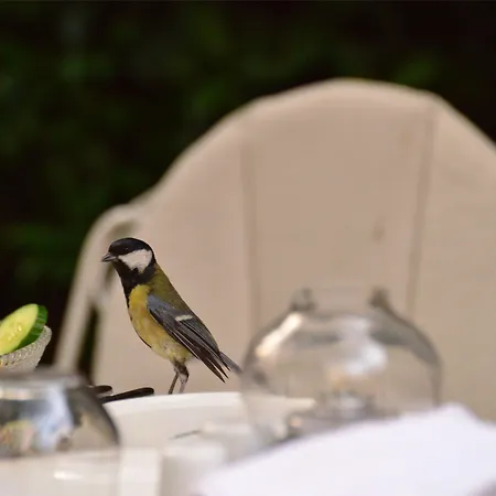 كيتابيفي 4* بورصة