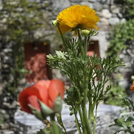 فندق كيتابيفي بورصة