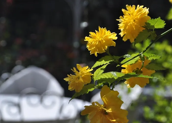 Kitapevi Hotel Bursa