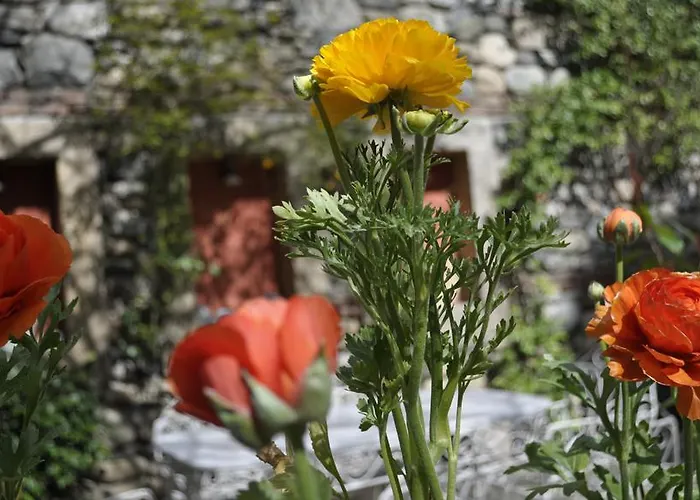 Hotel Kitapevi Bursa